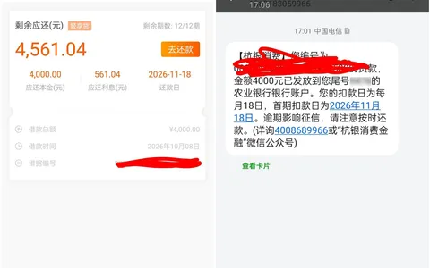 杭银消费金融公司是正规的吗？轻享贷4000元12期放款，电话回访后通过上征信吗