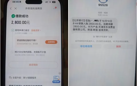 京东金条涨额度有成功的吗？2800元借款秒到账，给提额又给拒了的两副面孔