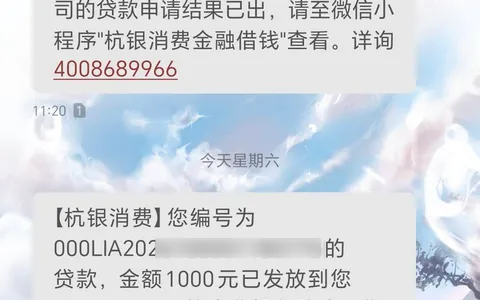 支付宝入口申请杭银做消费贷的是真的吗？月查询30多次批了1000元，借呗京东都冻了