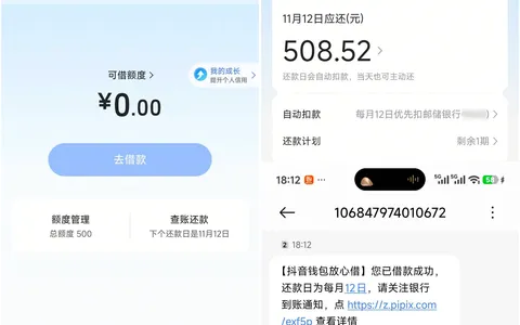 皮皮虾入口放心借500元到账，杭银消费金融出资，没有额度的人也能申请吗