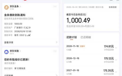 京东金条1000额度好批吗？白户过了：6期总利息4毛9，到账挺快