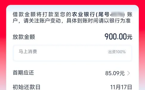 安逸花放款失败怎么办？7000额度剩两期复借被拒，优逸花下900救急