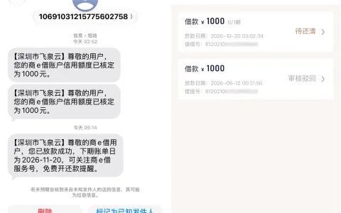 好e借‘商e借’是一个东西？微信小程序入口申请，1000块凌晨到账