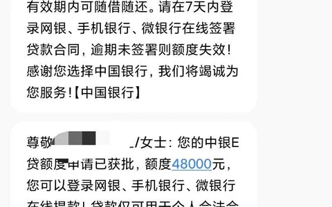 逾期三个月、半年全拒，中银E贷却批了48000：工资卡进件两分钟过