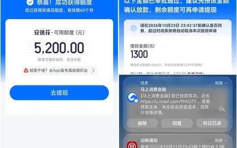 抖音搜安逸花小程序申请，5分钟批了5200额度：实际只放了1300