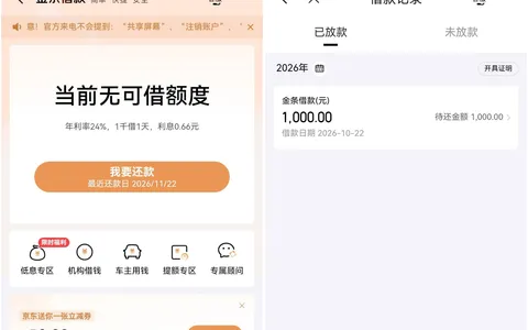 白条500降到100干脆注销，重开金条批1000：年息24%先算账