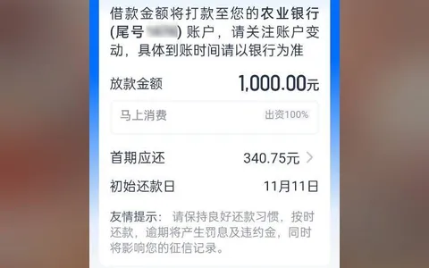 安逸花改3期小额批了1000：之前12期全拒，这招能用但别当攻略