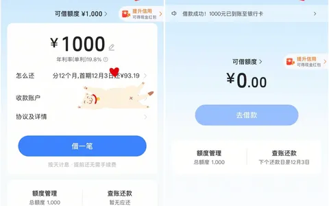 呆账加当前逾期，放心借批了1000：别学技巧，先还债