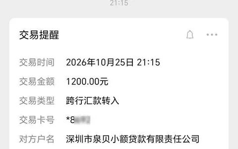 小赢卡贷传账单提了200却借不出：补了营业执照，1200到账