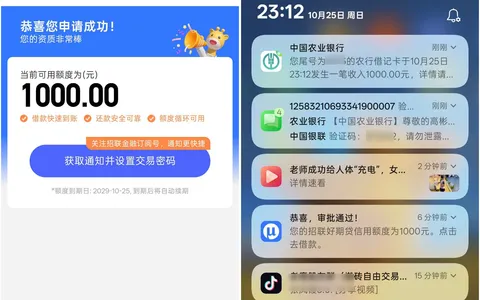 招联好期贷1000秒批：改了个手机号，额度有效期到2029年