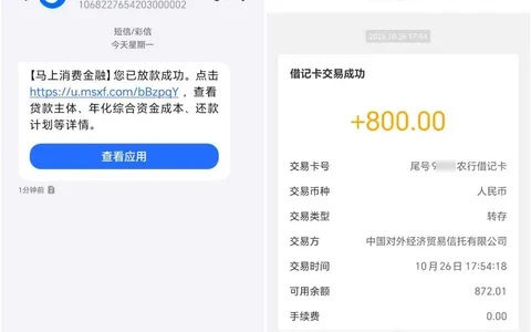 安逸花和优逸花额度共享吗？我试了：同一家马上消金，800块到账