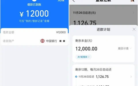借呗真的套路了吗？我申请12000顺利到账，12期按月还