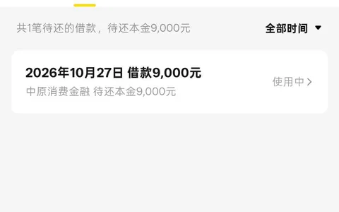 美团借钱转圈圈5分钟以为被拒，刷新一看：中原消金出资9000到账