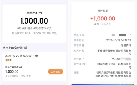 征信两条代偿记录，金条结清白条后下1000：平安银行出资，每期还76