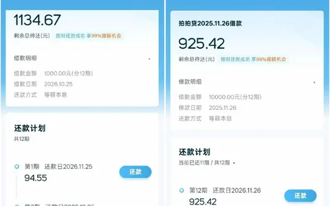拍拍贷一万差一期结清，本以为套路借不出：申请1000，到账了