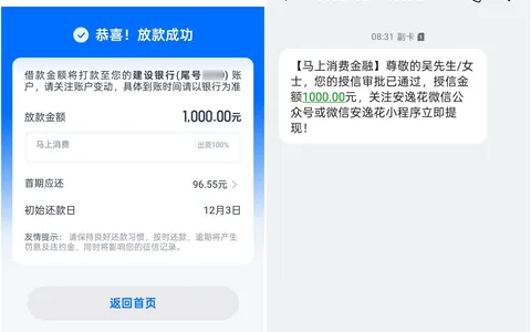 安逸花有额度借不出，注销歇两天重申下款1000：一次性的，别提前还