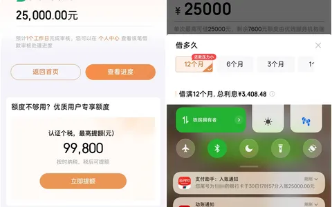 京东金条逛店提额到 34000 元，支取 25000 元秒到账，资质大花无当前逾期