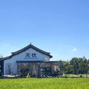 洛殇迷城的头像